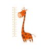 SIenų lidpukas Žirafos ūgis